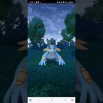 ポケモンGO　野生のラグラージ