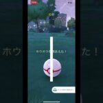 ポケモンGO 8周年イベント!4日目色違い！(サブアカウント)#pokémon #pokemongo #pokémongo #ベトベター#8周年#イベント#色違い#色厳選#ポケモン#レイド #ホウオウ