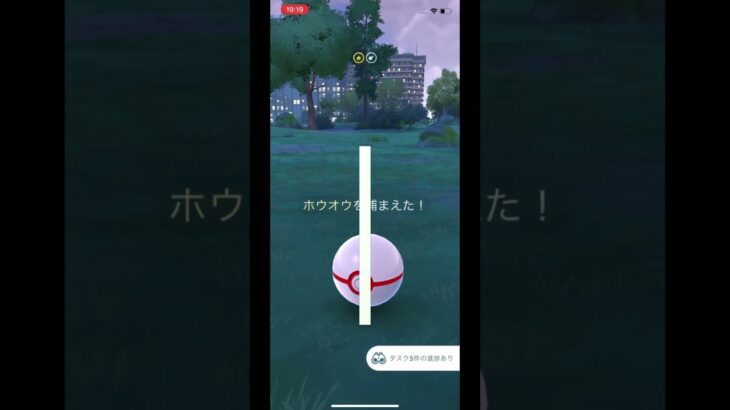 ポケモンGO 8周年イベント!4日目色違い！(サブアカウント)#pokémon #pokemongo #pokémongo #ベトベター#8周年#イベント#色違い#色厳選#ポケモン#レイド #ホウオウ