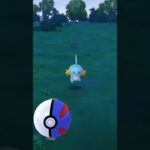 【難易度低】ワンリキー極小サークルクリティカルゲット【ポケモンGO】