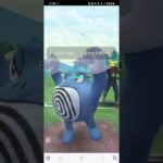 ポケモンGO ハイパーリーグ ゼクロム、Sアローラキュウコン、ドサイドン