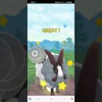 ポケモンGO SLリミックス ココロモリ、バイウール―、Sカイリキー