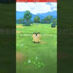 【ポケモンGO】色違いガラルニャースゲットです！ #ポケモンgo ＃色違い