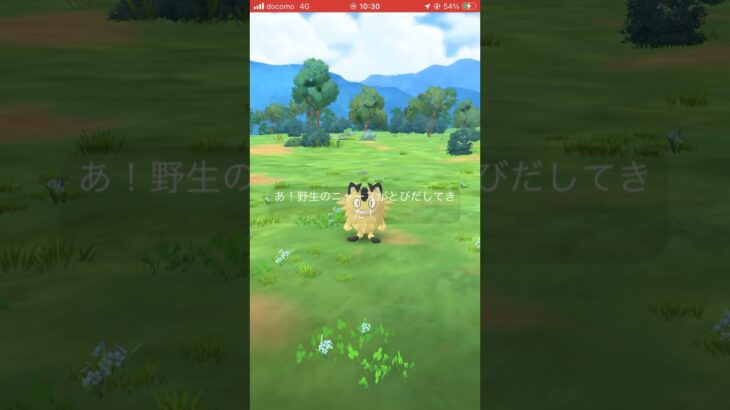 【ポケモンGO】色違いガラルニャースゲットです！ #ポケモンgo ＃色違い