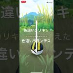 ポケモンGO 色違いカリキリ出現！色違いラランテスへ進化！ #pokémon #ポケモンgo #ポケモン