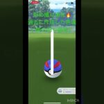 【ポケモンGO】貯め撮り消化🔥過去に作成した色違い集の切り抜き！ロゼリアの色違い2匹出現！？#ポケモンgo色違い #ポケモンgo #ポケモン #pokemongame #shorts