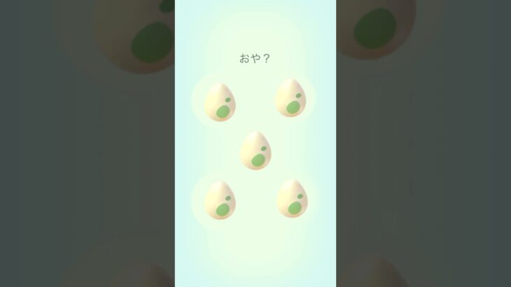 【毎日ポケGO】2kmたまご！5連発！#ポケモン #ポケモンGO #pokemon