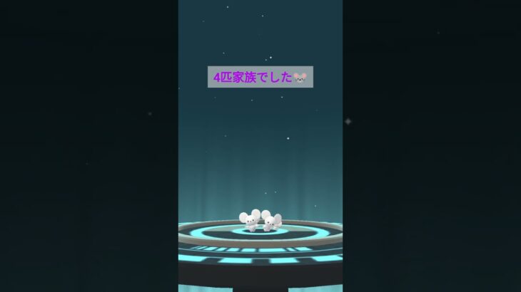 【ポケモンGO】ワッカネズミの進化ガチャ！3匹家族？4匹家族？