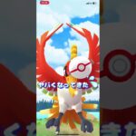 ポケモンGO「ホウオウ」星5レイド　#shorts #ポケモンgo #pokemon #pokemongo #レイドバトル