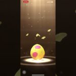 ポケモンGO❗️7Km🥚3連割〜えっぇぇぇ個体値100%が２つも…マラカッチが最高に嬉しい〜🥰🙏