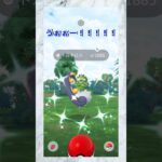 【ポケモンGO】GBL報酬でまさかの色違い､､､､!!#ツタジャノさんのパクリ#ツタジャノさんすみません#ツタジャノさんパロディ#目指せ1再生#パクリ#ネタ#おほほっww#色違い#じんニキおほほっww