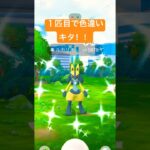 【ポケモンGO】メガルカリオレイド・デイ色違いルカリオGET‼︎＃shorts