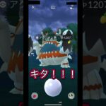 てんぷらーずカツヲのポケモンGO！タスクを開けると…！？#ポケモンGO#アクジキング#リワード#タスク