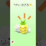 【ポケモンGO】遂に！推しポケモンが実装！！過去一ポケGOを頑張った4日間でした🥰 #ポケモン#ポケモンGO#ポケモン#押しポケモン＃イッカネズミ#shorts