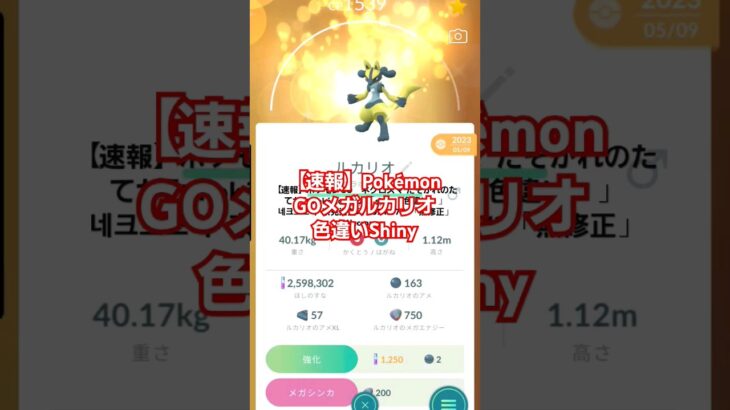 【速報】ポケモンGO　メガルカリオ　MEGA　Lucario　Pokémon GO  「shiny（色違い「無修正