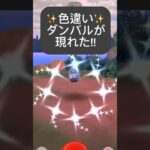 【ポケモンGO】色違いダンバルが現れた!!【✨Shiny Beldum Pokémon GO ✨】