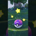 【ポケモンGO】はじめてのガラルサンダー☆マスターボールでゲットタイム動画❣️@arata.channel .japan.Jul2024 #shorts