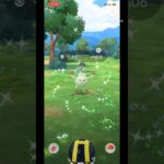 【ポケモンGO】予想外の色違いが出た　#ポケモンgo #色違い