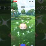 [PokemonGO] トゲデマル色違い 初実装ゲット！ #ポケモンgo