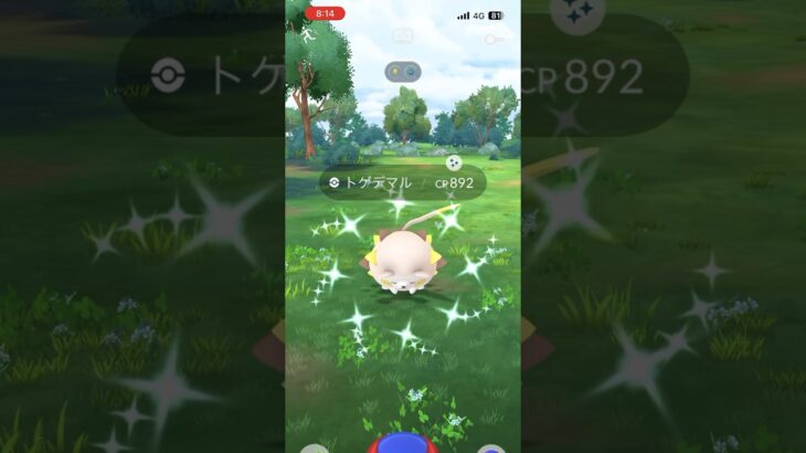 [PokemonGO] トゲデマル色違い 初実装ゲット！ #ポケモンgo