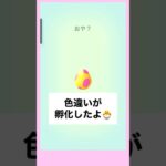 【PokemonGO】色違いが孵化したよ3 #ポケモンgo #shorts