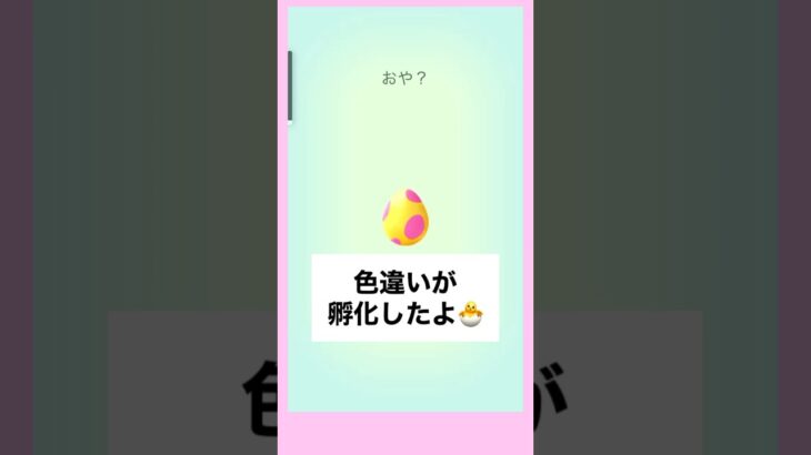 【PokemonGO】色違いが孵化したよ3 #ポケモンgo #shorts