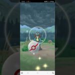 【PokemonGo】ルカリオ⭐色違い狙い⭐ポケモンgo⭐