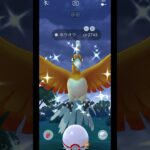 色違いホウオウだけはゲットしたい◓⃙⁣       #ポケモンgo #色違い #ホウオウ