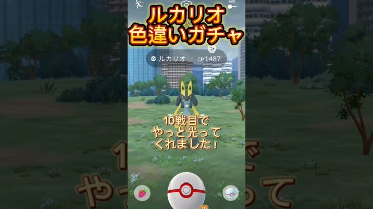 ルカリオ色違いガチャ！#ポケモンgo #色違い #ルカリオ