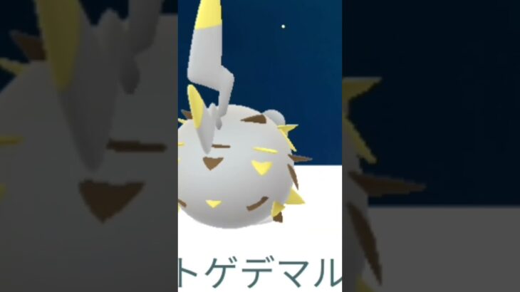 トゲデマル？ #ポケモンgo