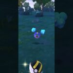 【ポケモンgo】GOFEST2024コスモッグ個体値は！#ポケモンgo #shorts #コスモッグ