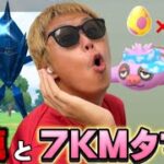 色違い100%報告多数！？補填ネクロズマと7KMタマゴ26連【ポケモンGO】