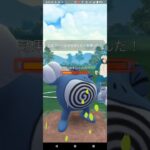 スーパーリーグ【ポケモンGO】ヌメルゴン、グライガー、エルフーン