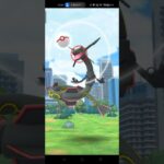 【ポケモンGO】色違いレックウザ！ゲット出来た！