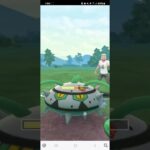 ポケモンGO 通常ハイパーリーグ Sアローラキュウコン、Sカイリュー、 Sローブシン