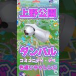 【ポケモンGO】コミュニティ・デイ！ダンバルの色違い何体ゲットできるの？ #ポケモンgo #ポケモン #ポケgo #pokemon #pokemongo #shorts