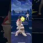 【ポケモンGO】シャドウグランブルのパワー #pokemon #ポケモンgo #gbl #pokemongame #pokemongo #ポケモン #gobattleleague #shorts