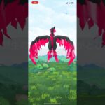 【ポケモンGO】ガラル3鳥　ファイヤー