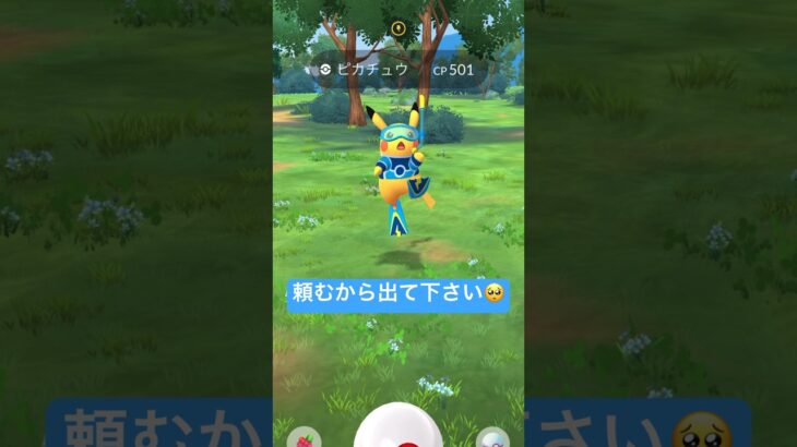 【ポケモンGO】WCS2024色違いピカチュウを狙え！！#nintendo #pokemon #pokemongo #ポケモン #ポケモンgo #ピカチュウ #色違い#wcs #wcs2024