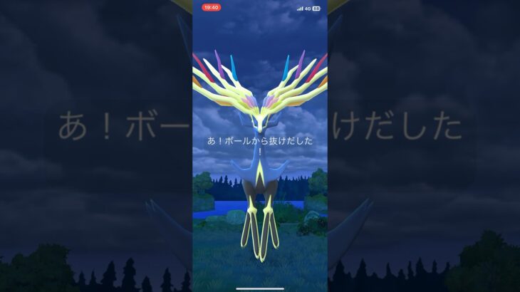 【ポケモンGO】ゼルネアス捕獲！！#ポケモンgo #ゼルネアス #pokemon #pokemongo #shorts #レイド