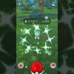 【ポケモンGO】カリキリの色違い降臨！カリキリ→ラランテス！#shorts #pokemongo #ポケモンgo色違い #ポケモンgo