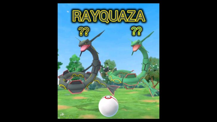 Hunting SHINY RAYQUAZA in Pokémon GO! ポケモンgo #pokemongo #pokemongoshorts #shorts #funny