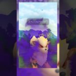 【PokemonGO】シャドウパーティ27 スーパーリーグ ポケモンGO