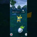 キターーーーー！！！WCS2024記念色違いピカチュウ　#ポケモンgo #ピカチュウ #wcsgamers #shorts