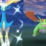 Xerneas & Mega Salamence Raid invite Pokemon GO