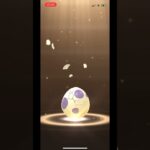 ポケモンgo 10キロタマゴガチャ 4連ガチャ　#pokemongo #egg