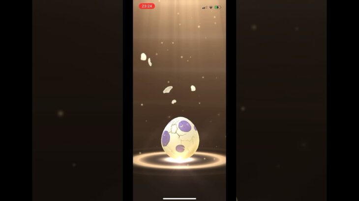 ポケモンgo 10キロタマゴガチャ 4連ガチャ　#pokemongo #egg