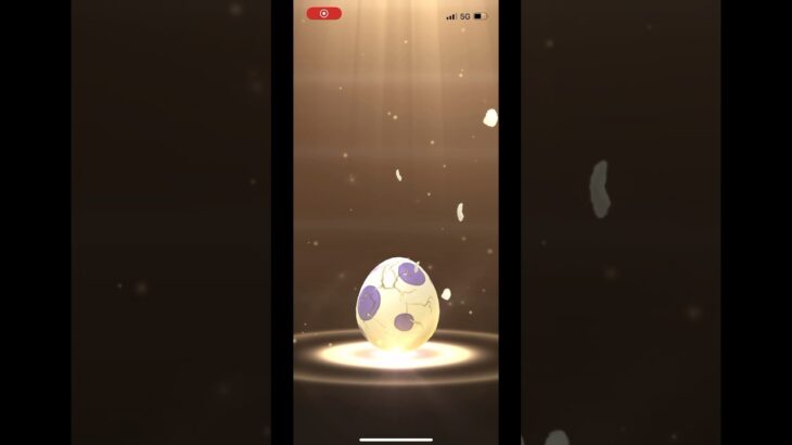 ポケモンgo 10キロタマゴガチャ4連　何が出るかな？　#pokemongo #egg