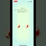 ポケモンgo 12キロタマゴ　5連ガチャ　#pokemongo #egg