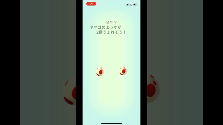 ポケモンgo 12キロタマゴ　5連ガチャ　#pokemongo #egg